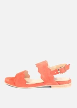 Jarden Suede Scallop Sandals -Mod Cloth Store jarden sue ccbl ccbl jarden sue 08.385 278bdcd8 3925 40d9 b0c2 0b8d0b3f7ebc